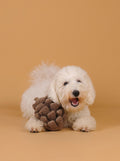 PINECONE SNUFFLE & SQUEAK DOG TOY