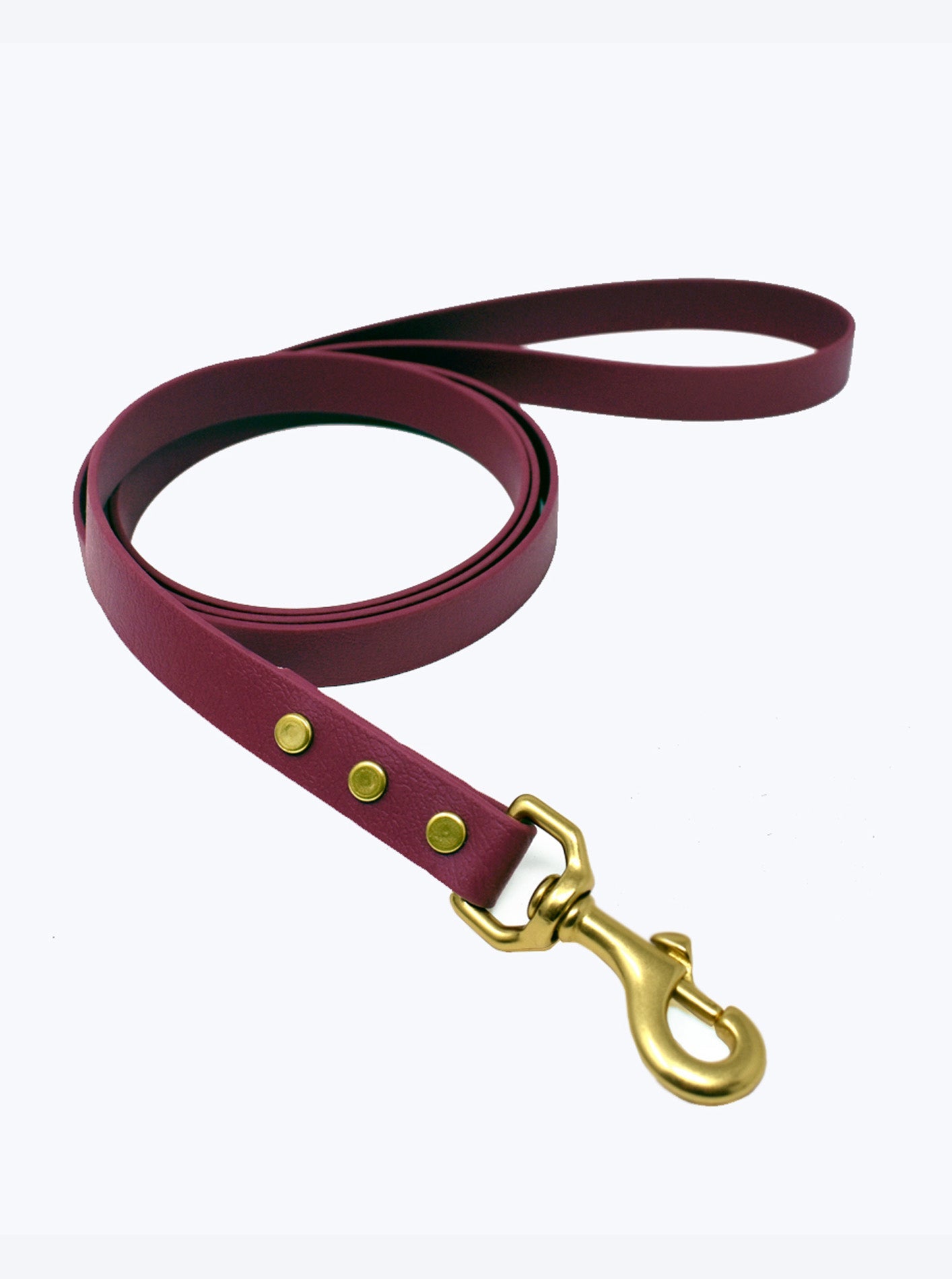 CLASSIC BRASS LEASH by High Tail Hikes