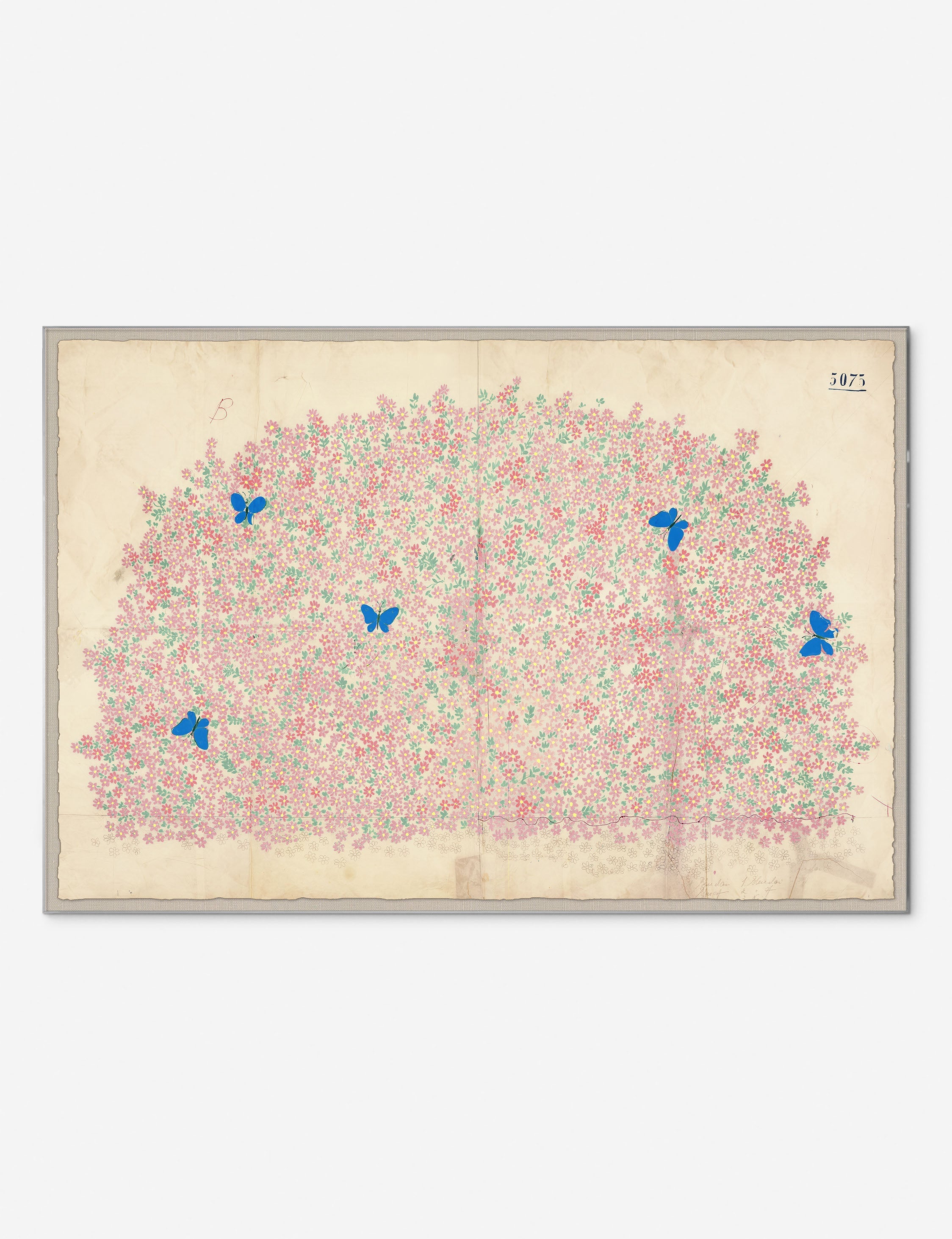 Myosotis Print by Paule Marrot