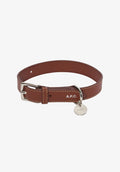 Collier Cuir Toutou