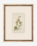 Petite Floral III