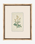 Petite Floral IX