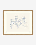Petites Fleurs