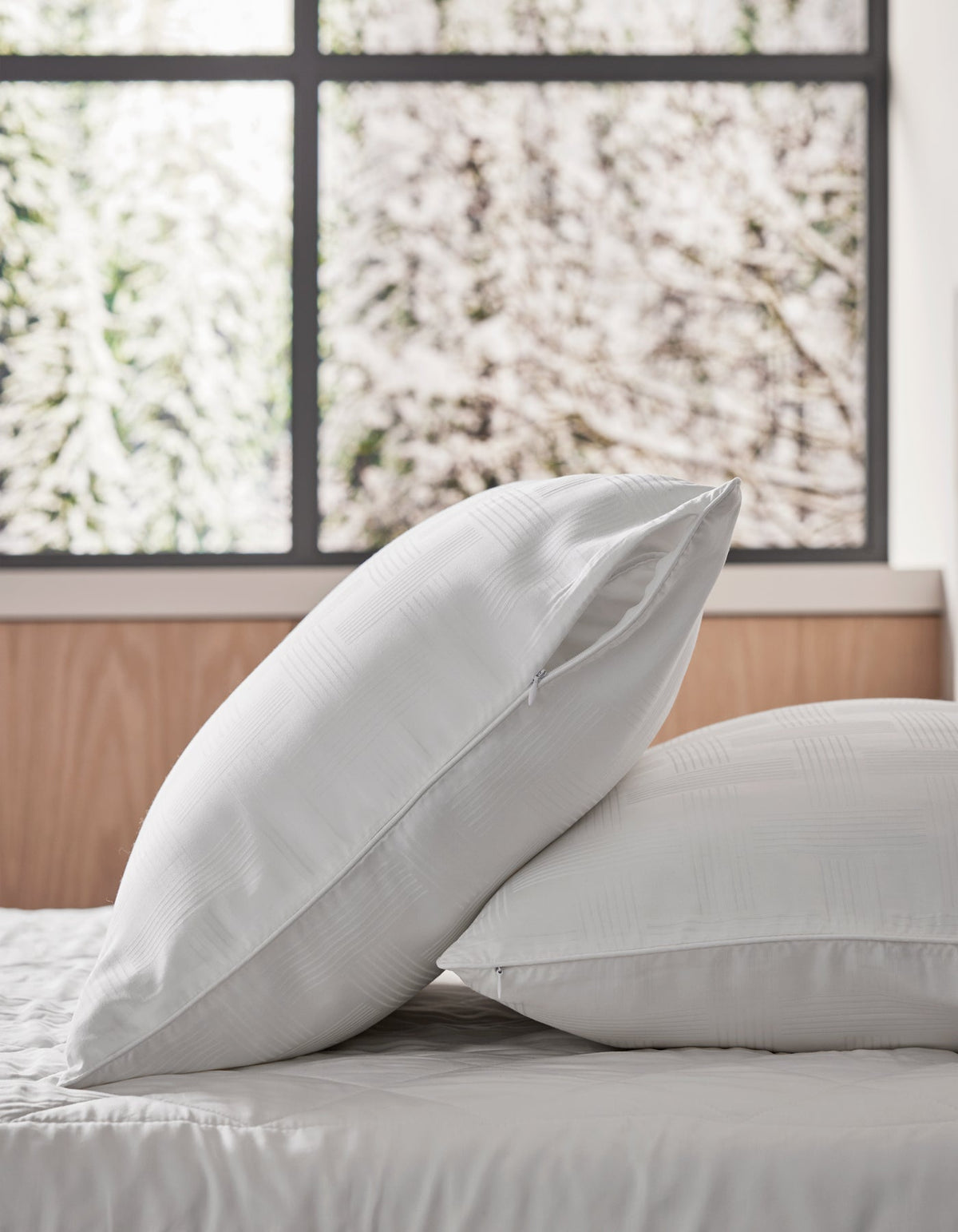 Cotton Pillow Protector
