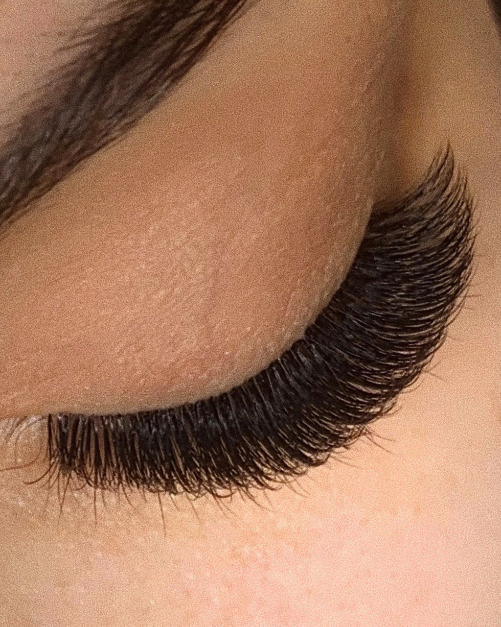 CC-Curl Plush Eyelash Extensions (Single-Length Trays)