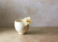 White Potter's Bowl