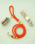 PF x The Foggy Dog Butterfly Grove - Walk Set Bundle - Multi