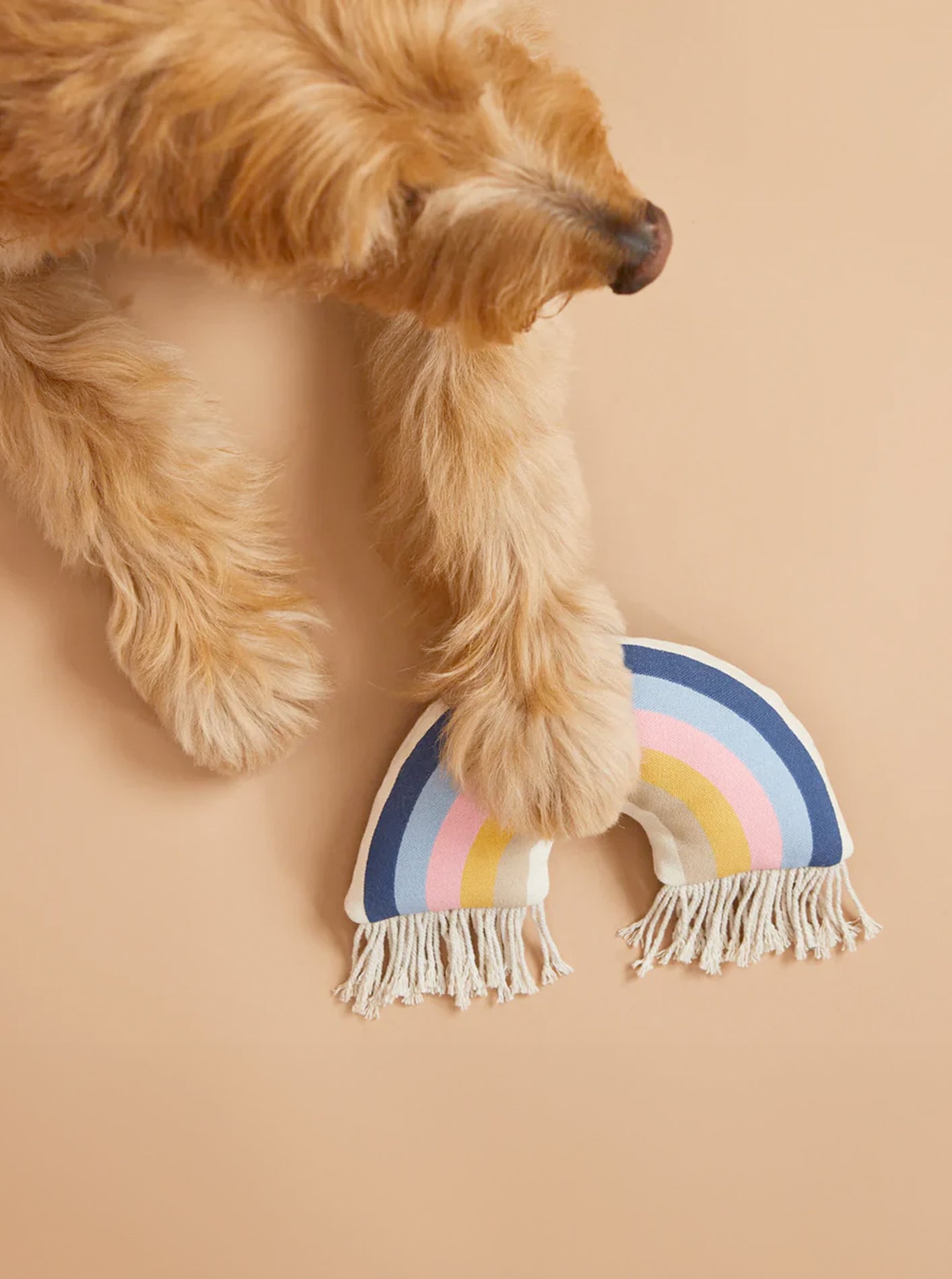 RAINBOW PLUSH DOG TOY by Harry Barker