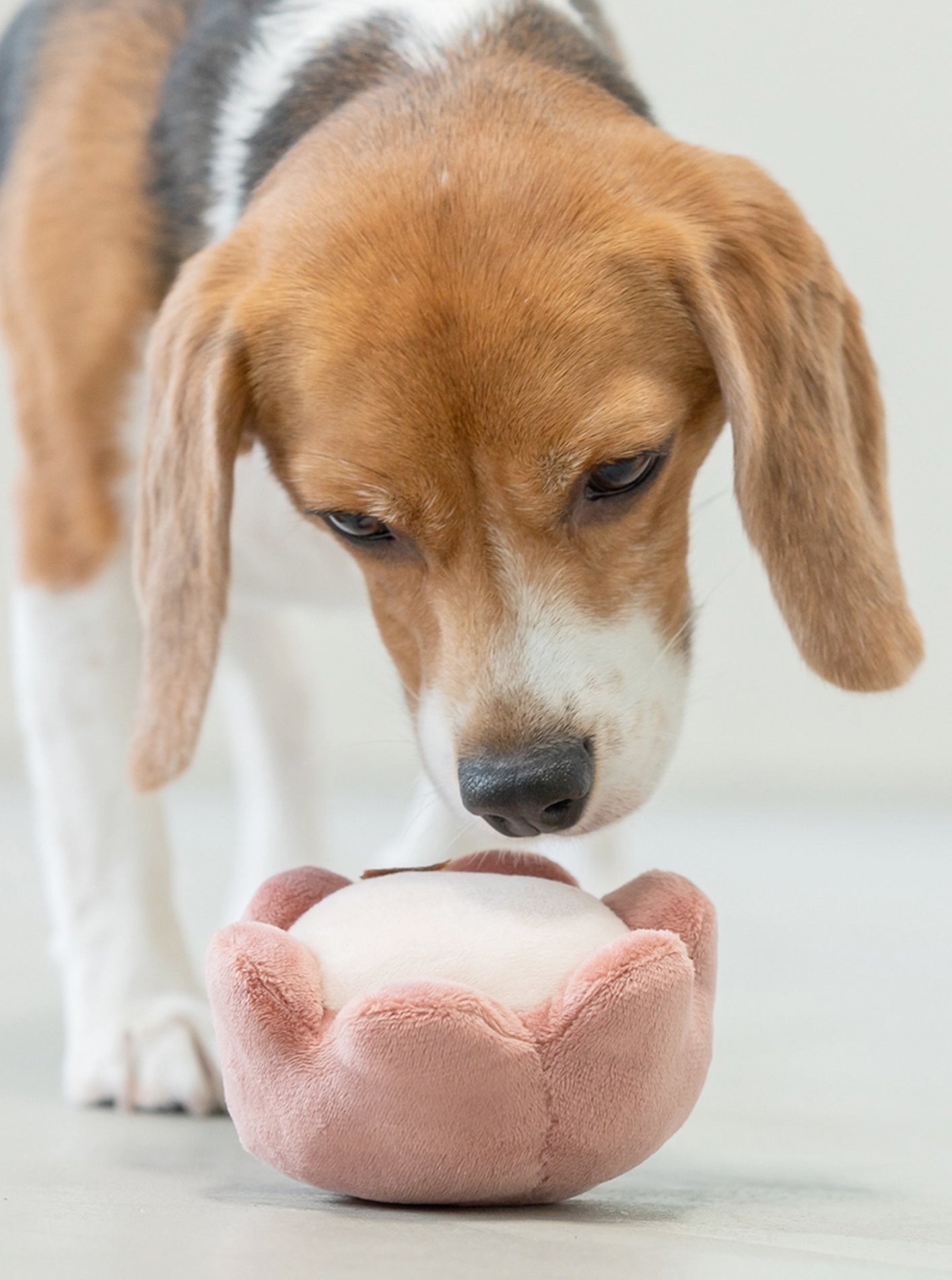 PLUSH FLOWER DOG TOY
