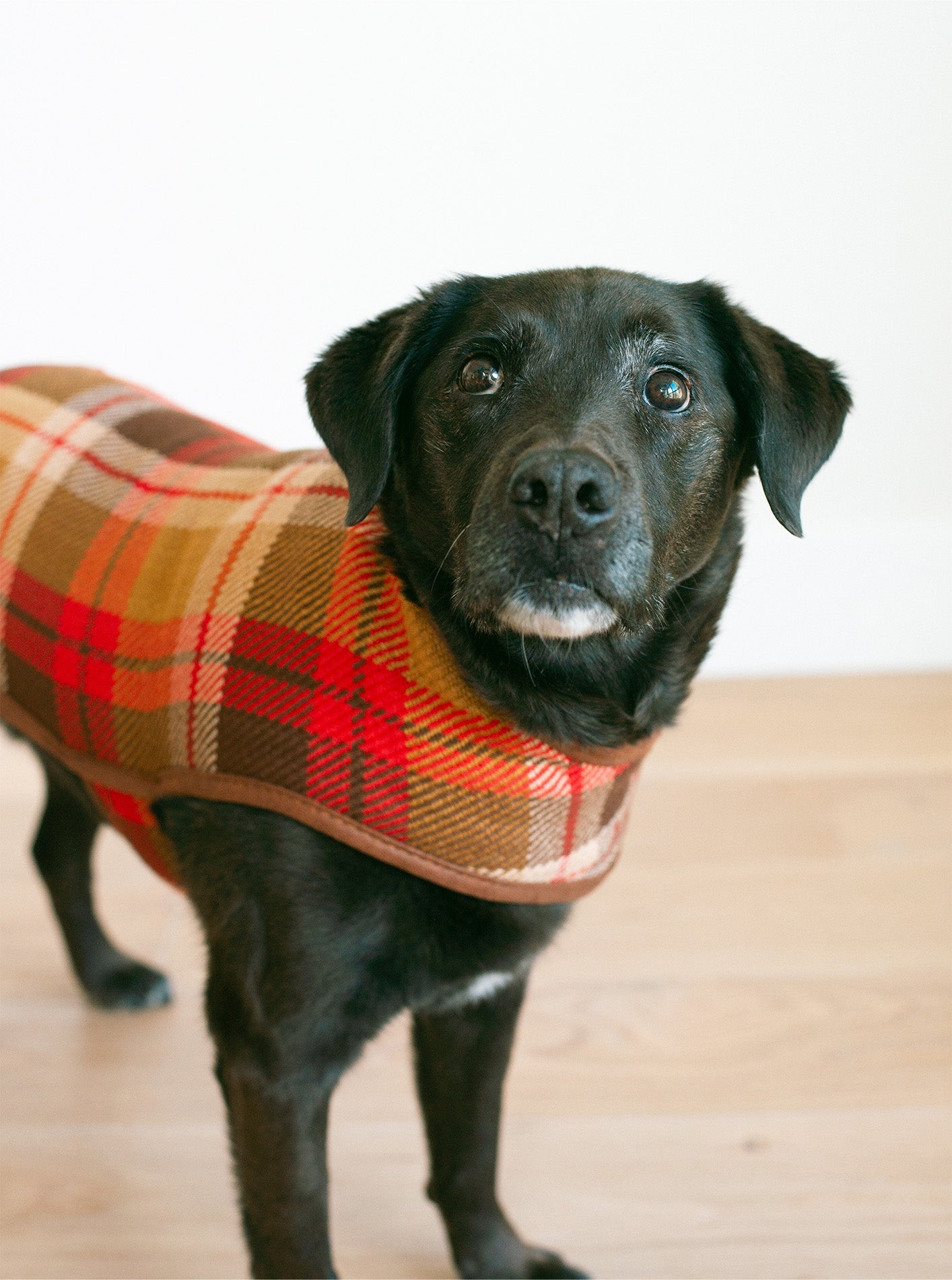 FALL COAT - RUST PLAID