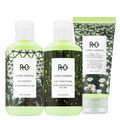 SCALP CARE Kit