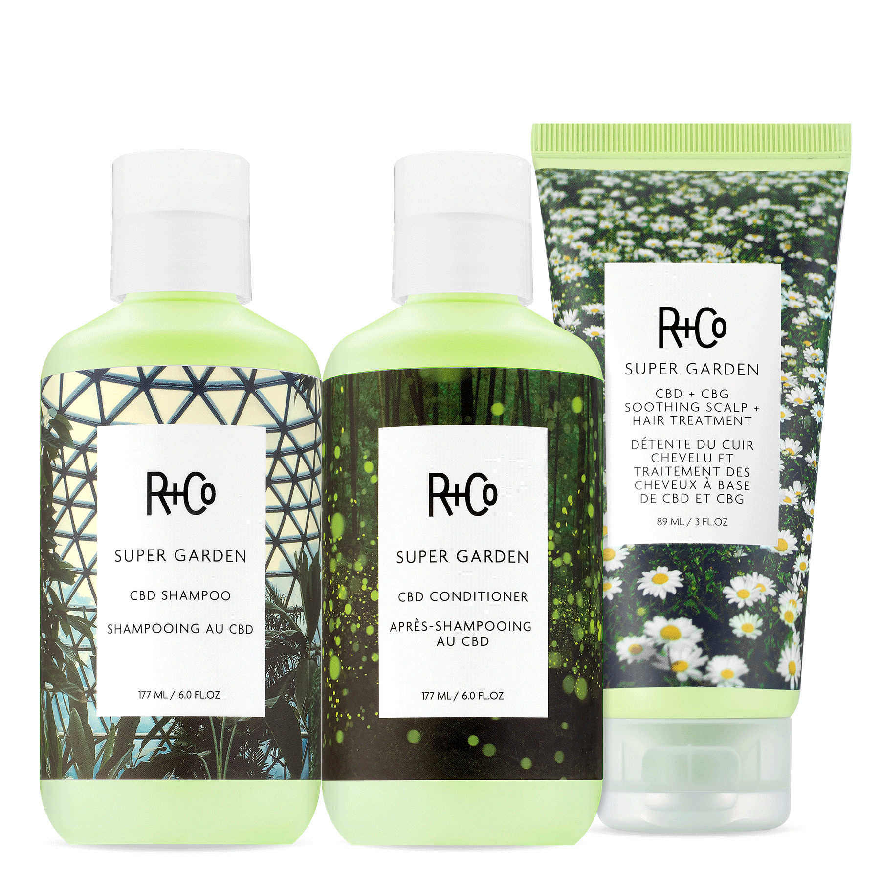 SCALP CARE Kit