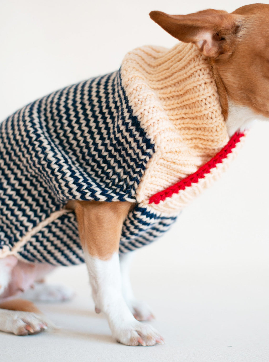 SPENCER WOOL DOG SWEATER