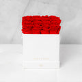 16 Rose Box