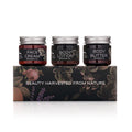 Lotion Sample Kit