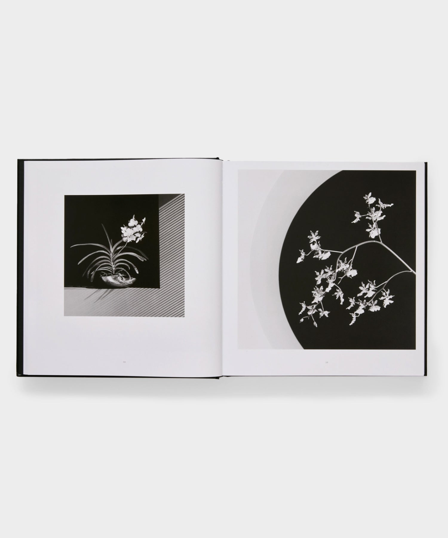 Phaidon "Mapplethorpe Flora: The Complete Flowers" Book