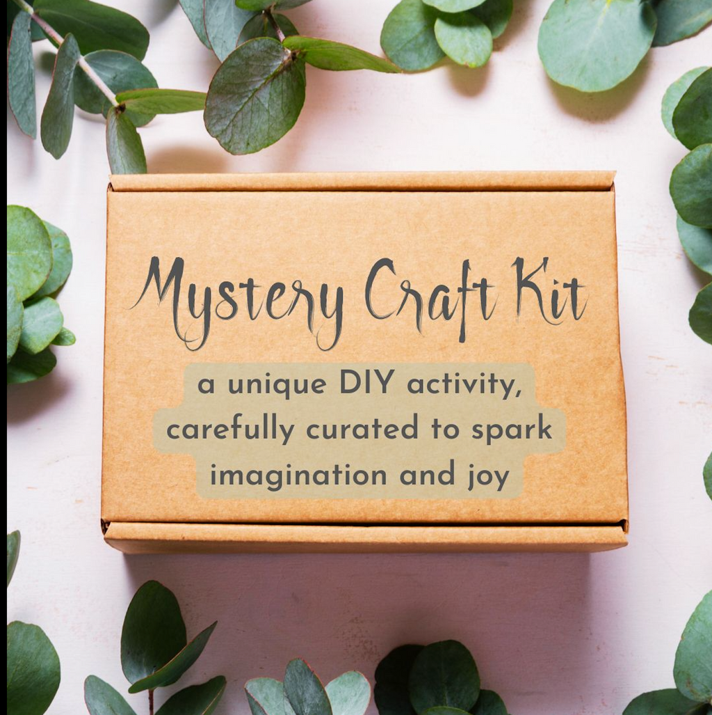 Mystery Craft Kit