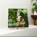 Virtual Moss Wall Craft Class