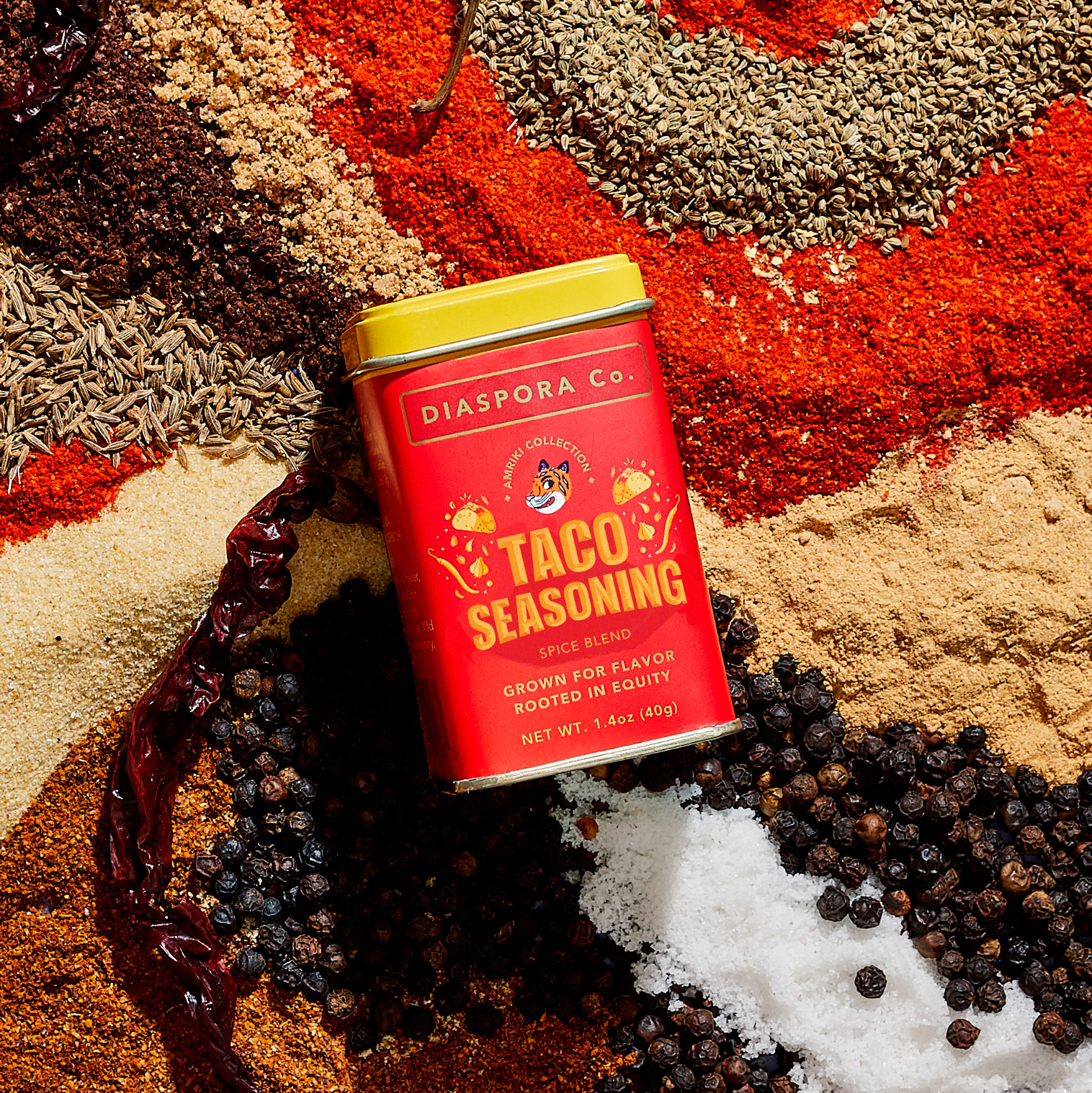 Taco Masala