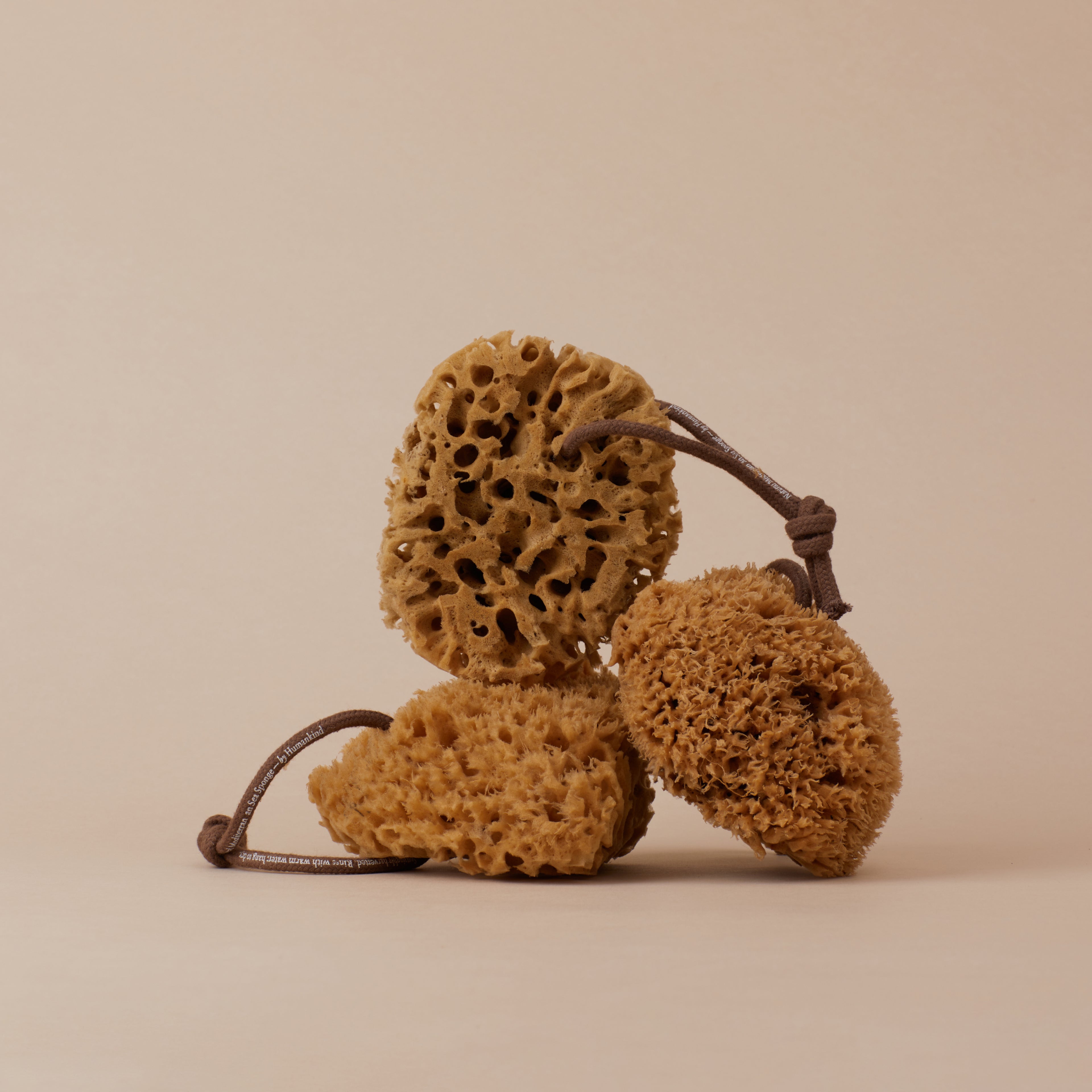 Sea Sponge 2-Pack