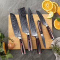 5-Piece Japanese Master Chef Knife Set