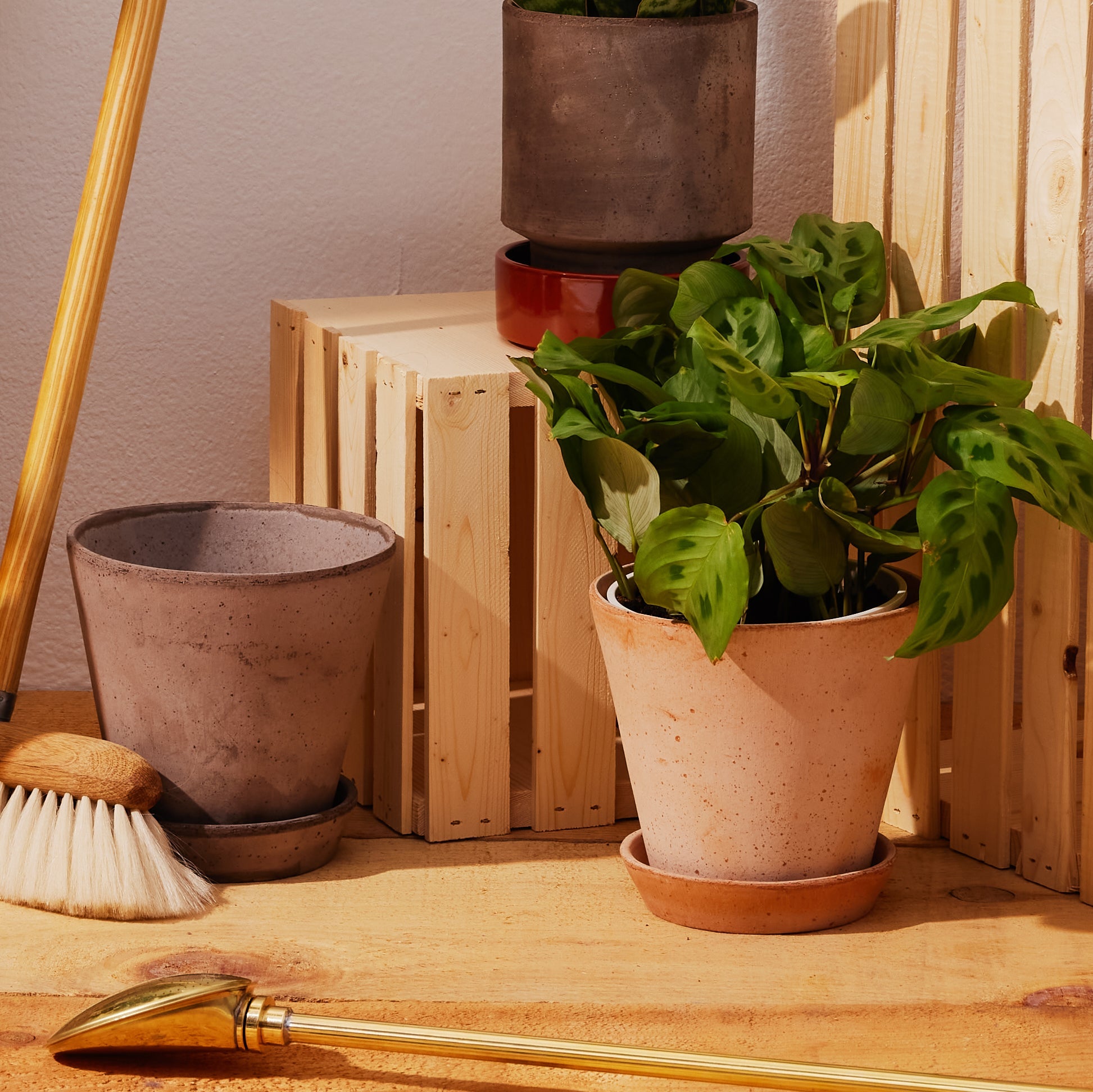 Julie Ø17 Planter & Saucer