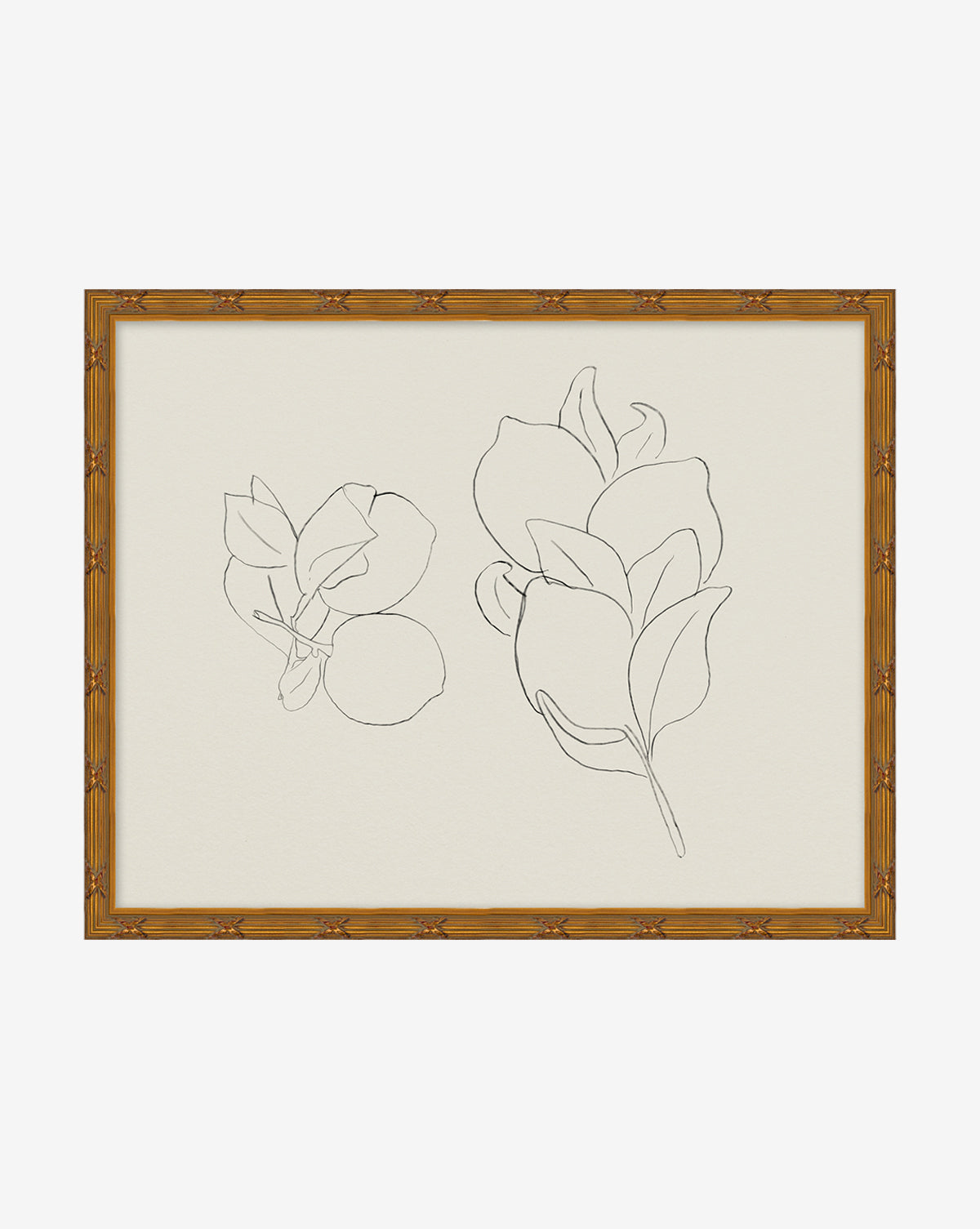 Sketched Fruit II