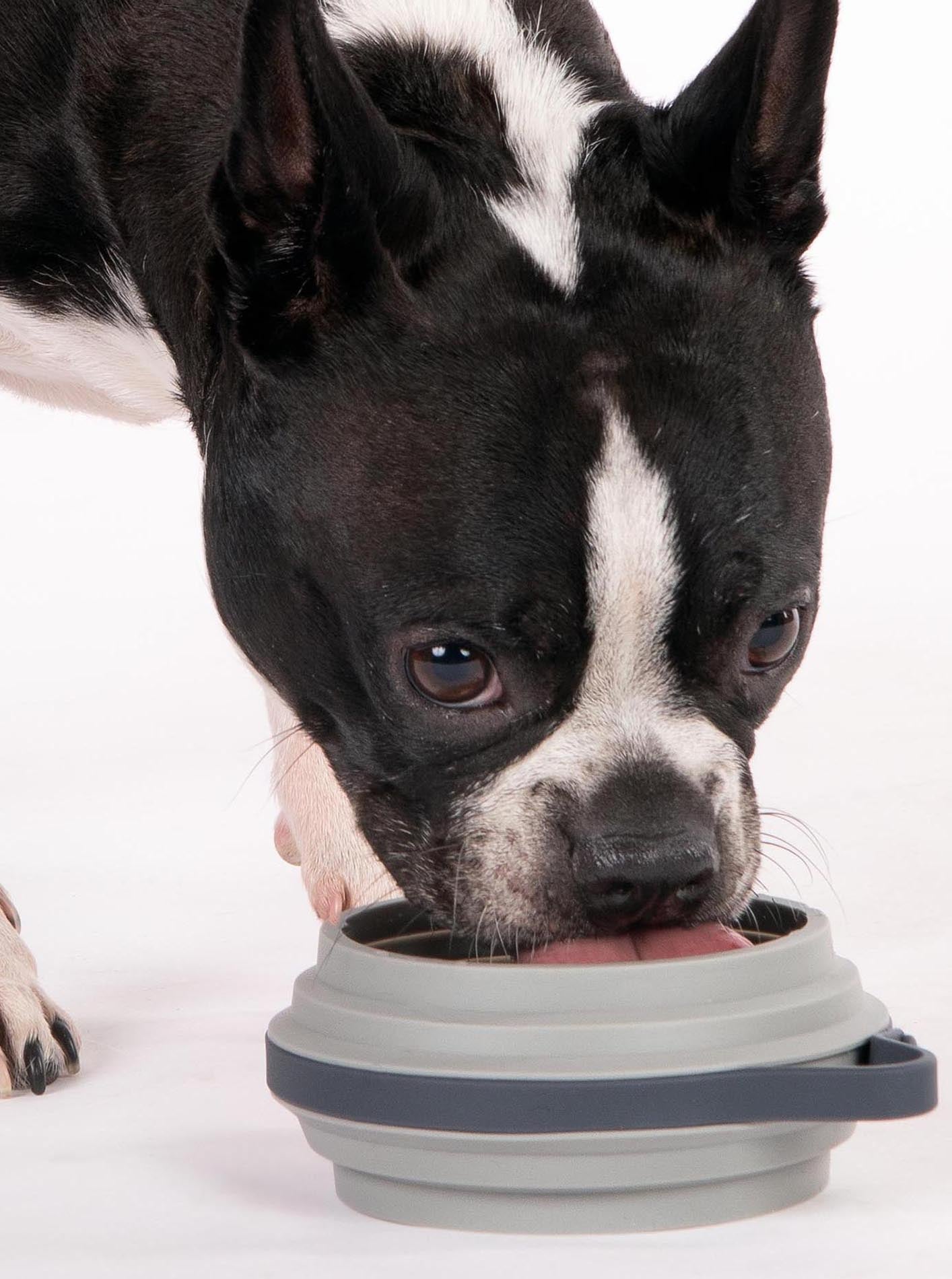NOMAD COLLAPSIBLE DOG BOWL