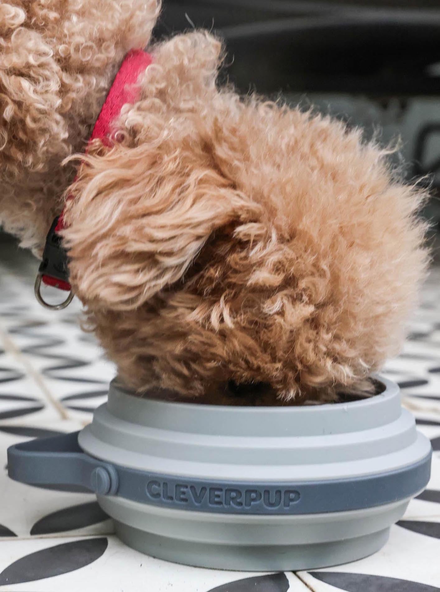 NOMAD COLLAPSIBLE DOG BOWL