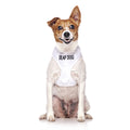 Deaf Dog Vest Harness