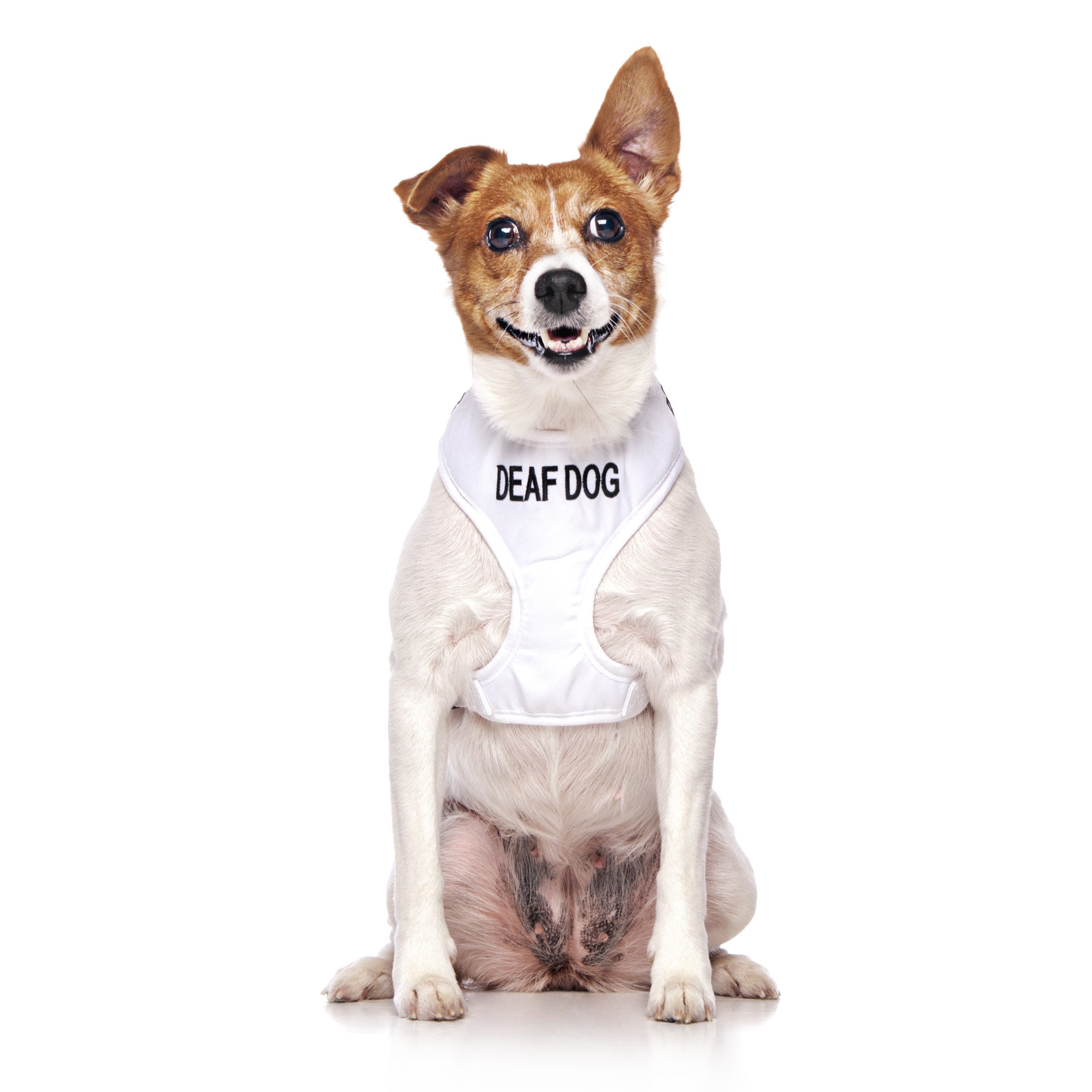 Deaf Dog Vest Harness