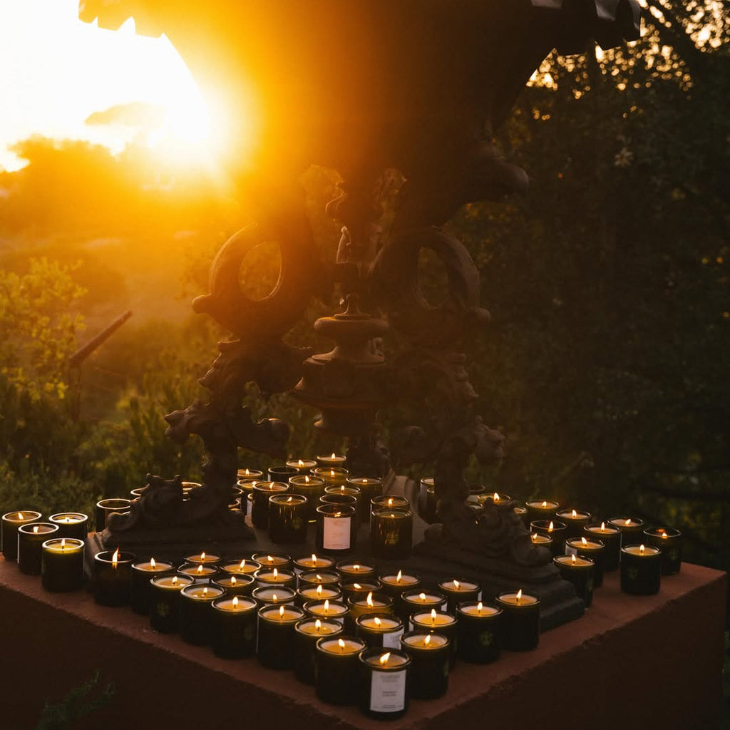 Agrigento Olive Tree Candle