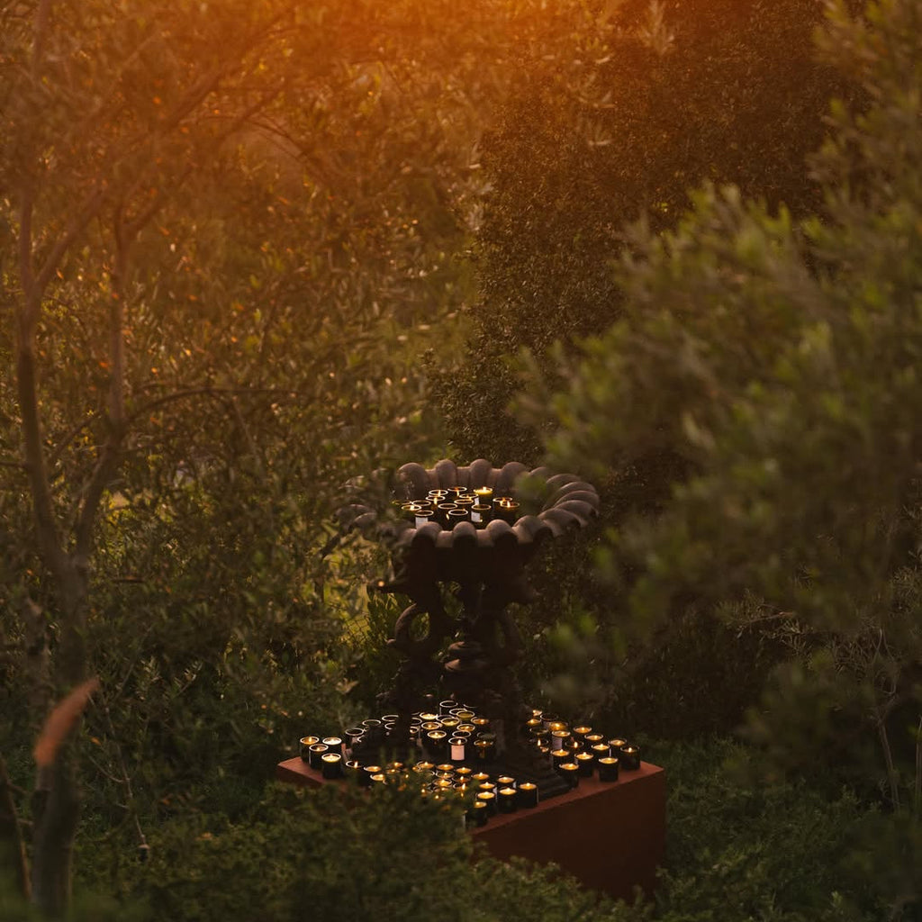 Agrigento Olive Tree Candle
