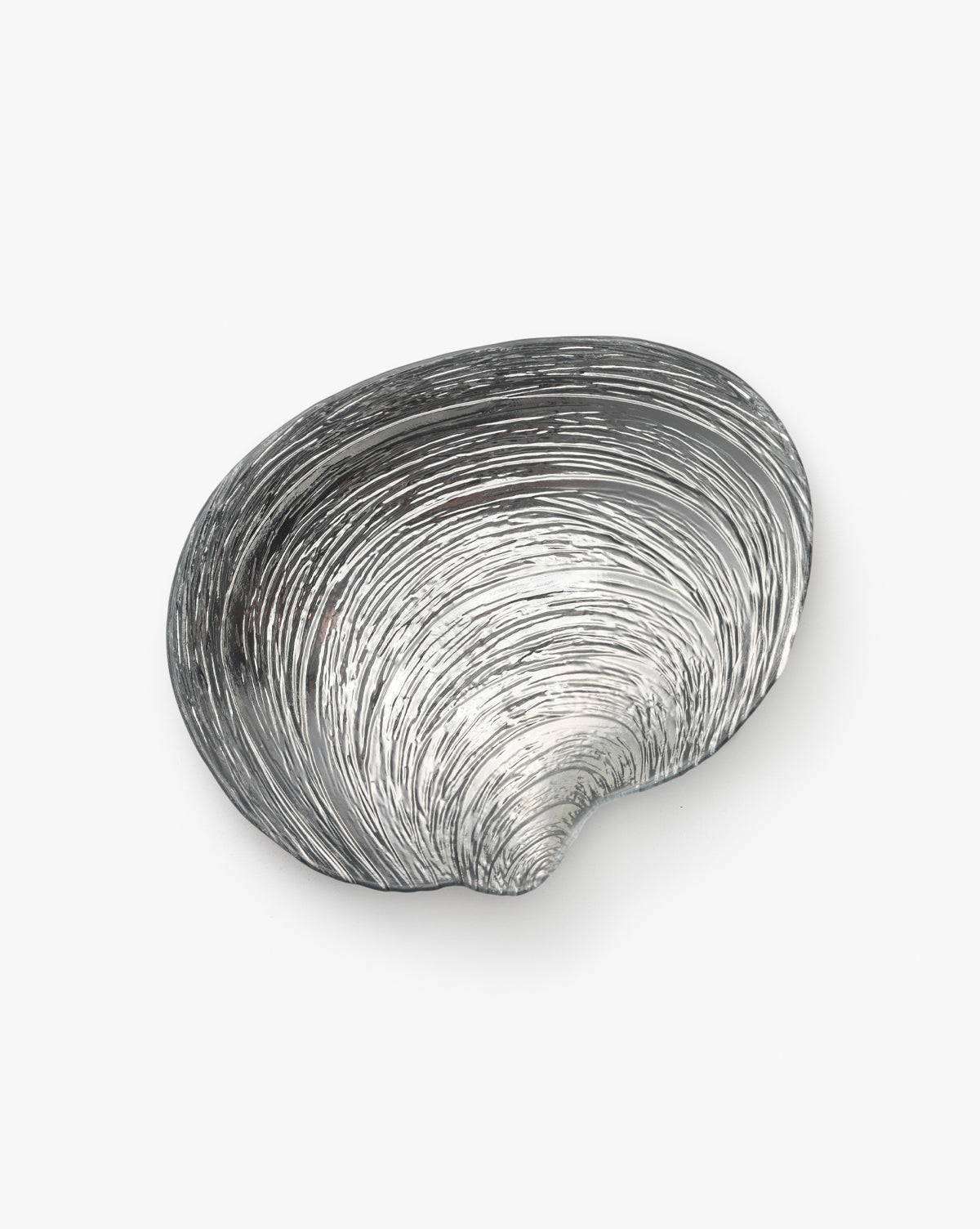 Specchio Shell Bowl in Silver