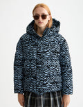 Hooded puffer