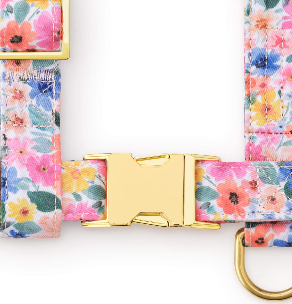 Margaux Harness Walk Set