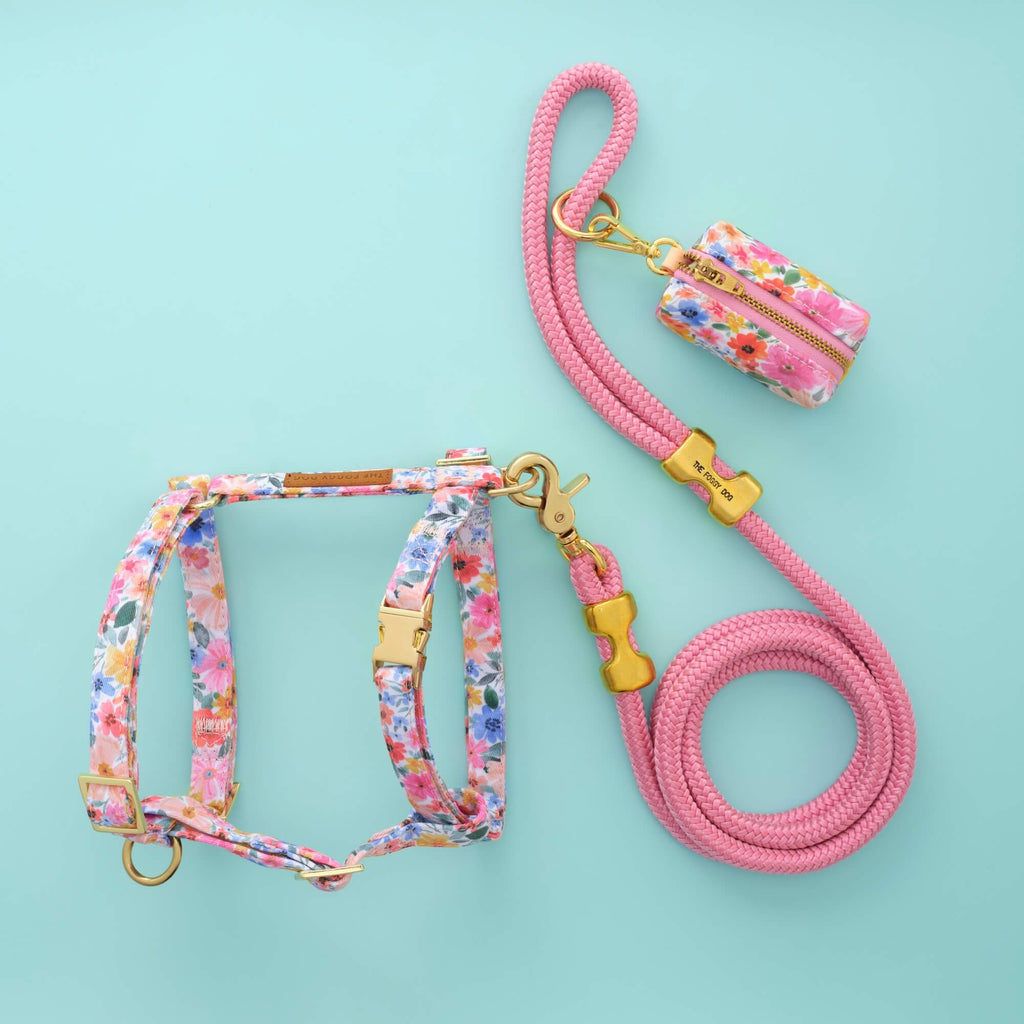 Margaux Harness Walk Set