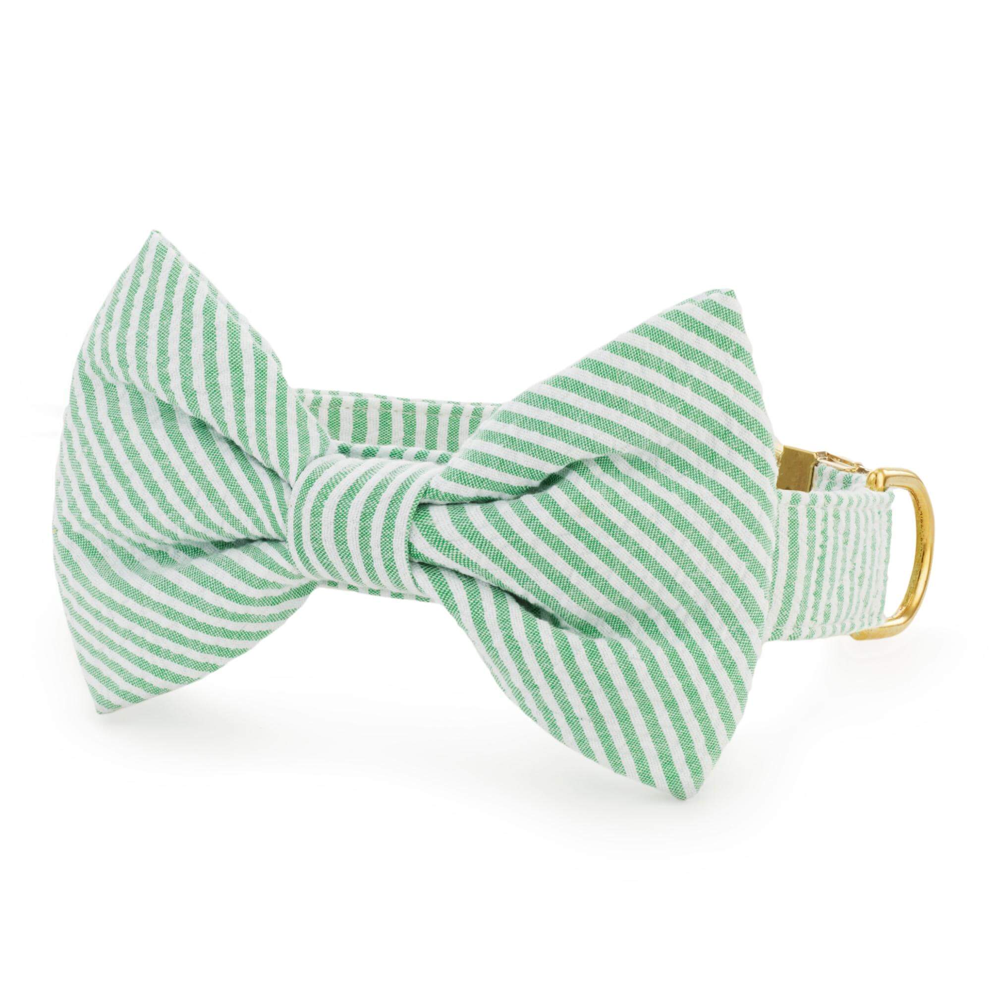 Green Seersucker Bow Tie Collar