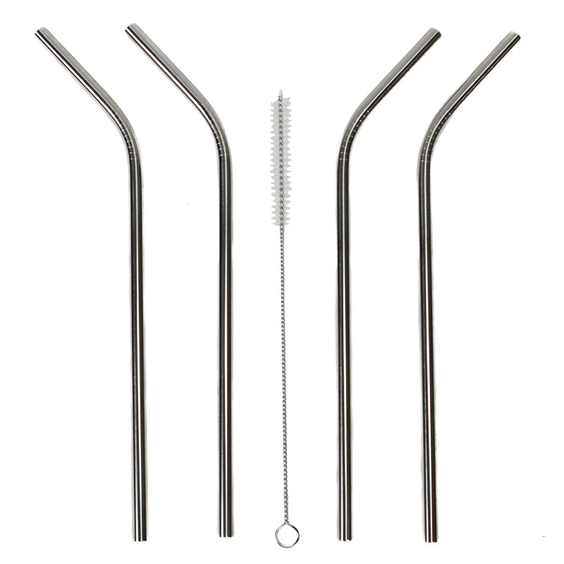 Stainless Steel Straws and Brush