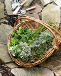 Rattan Gardening Tray