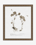 Subdued Botanicals II