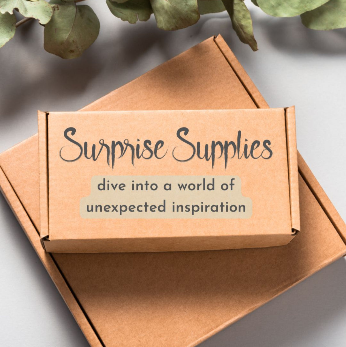 Surprise Supply Crafters Box