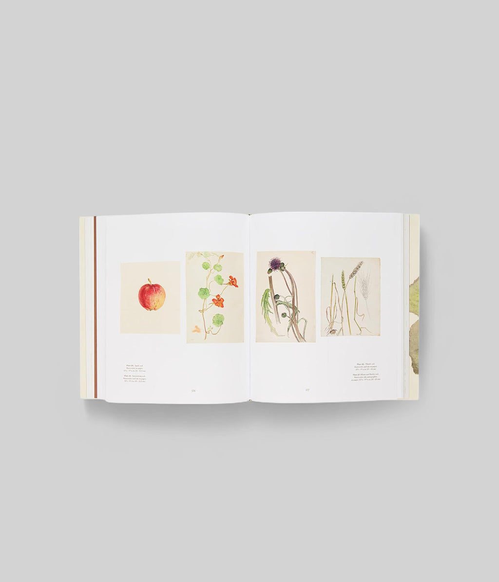 Hilma af Klint: What Stands Behind the Flowers