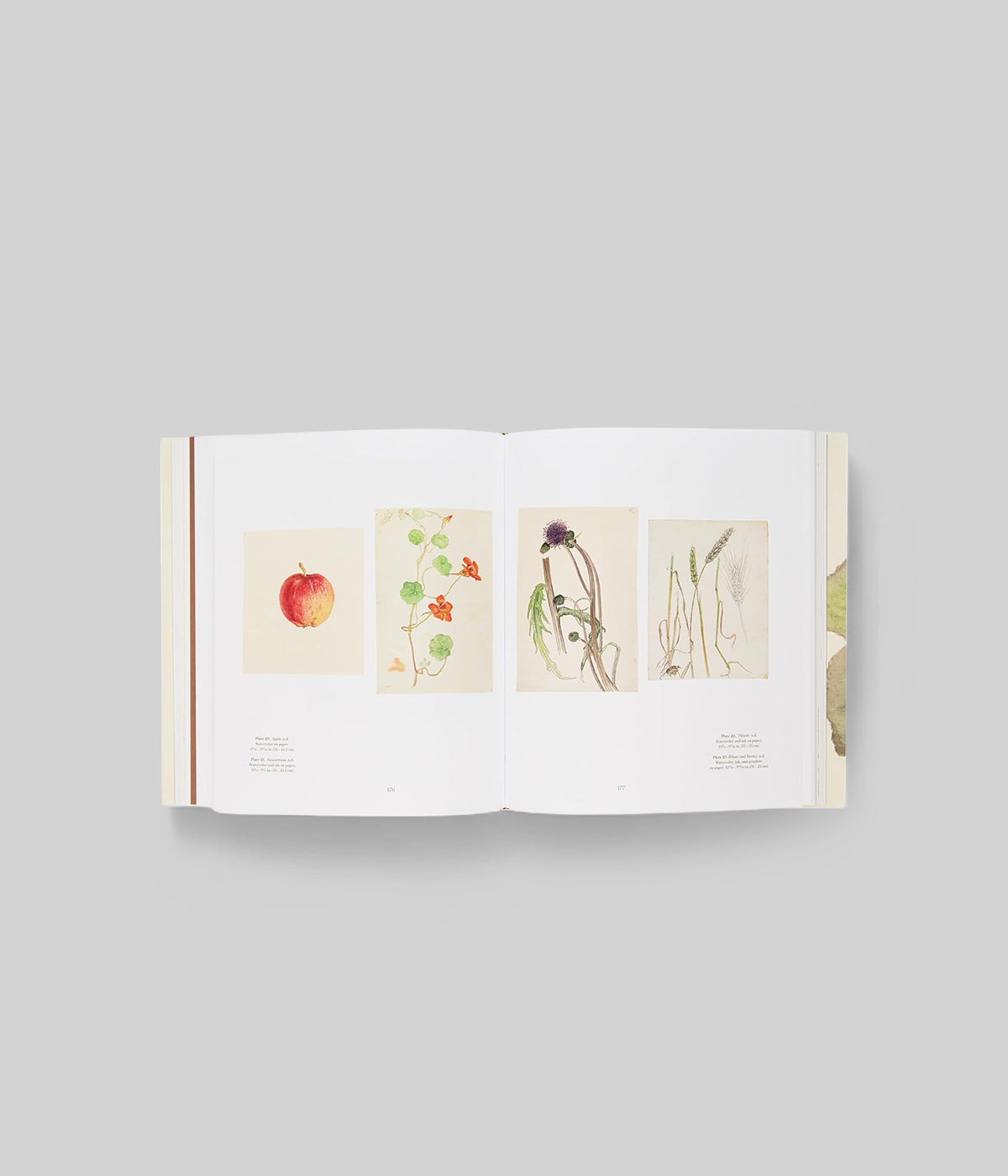 Hilma af Klint: What Stands Behind the Flowers