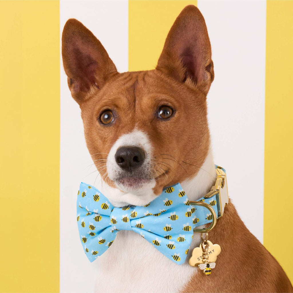 Sweet as Can Bee Dog Bow Tie