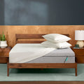 Mint Mattress Bundle
