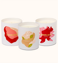 Bestsellers Trio