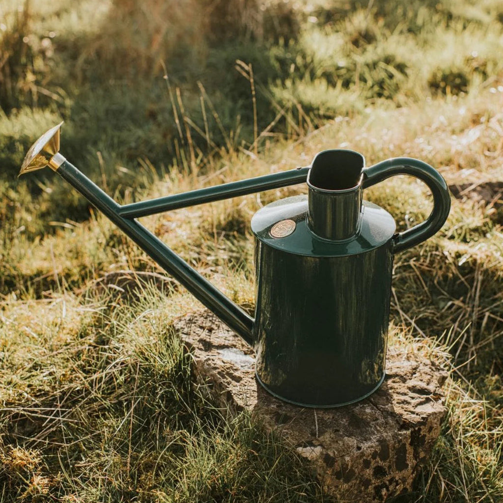 The Bearwood Brook Green - 2 Gallon Metal Watering Can