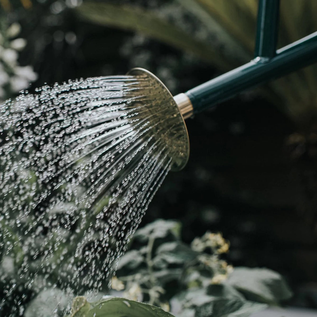 The Bearwood Brook Green - 2 Gallon Metal Watering Can