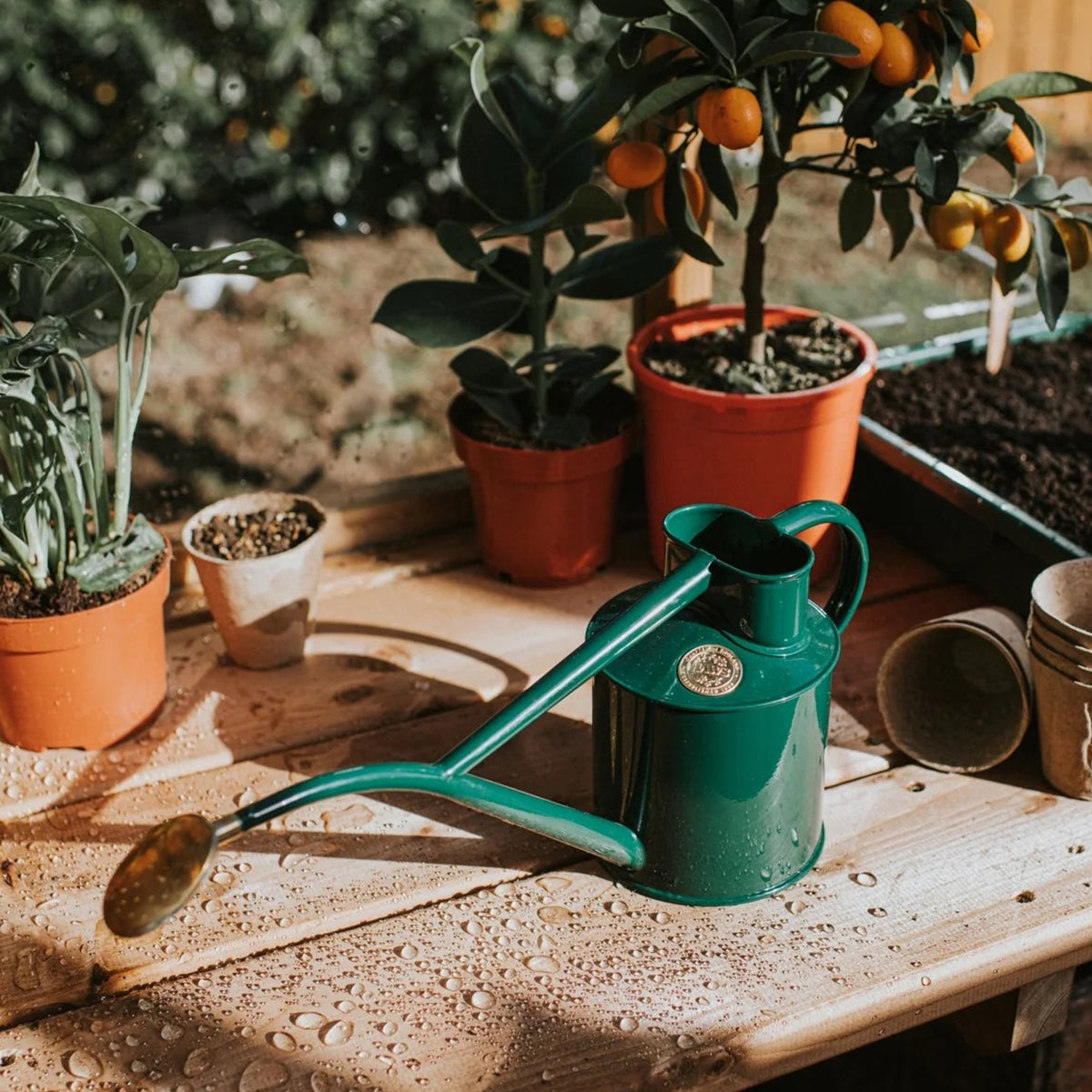 The Rowley Ripple Green - 2 Pint Metal Watering Can